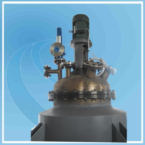 200L Pilot Reactor